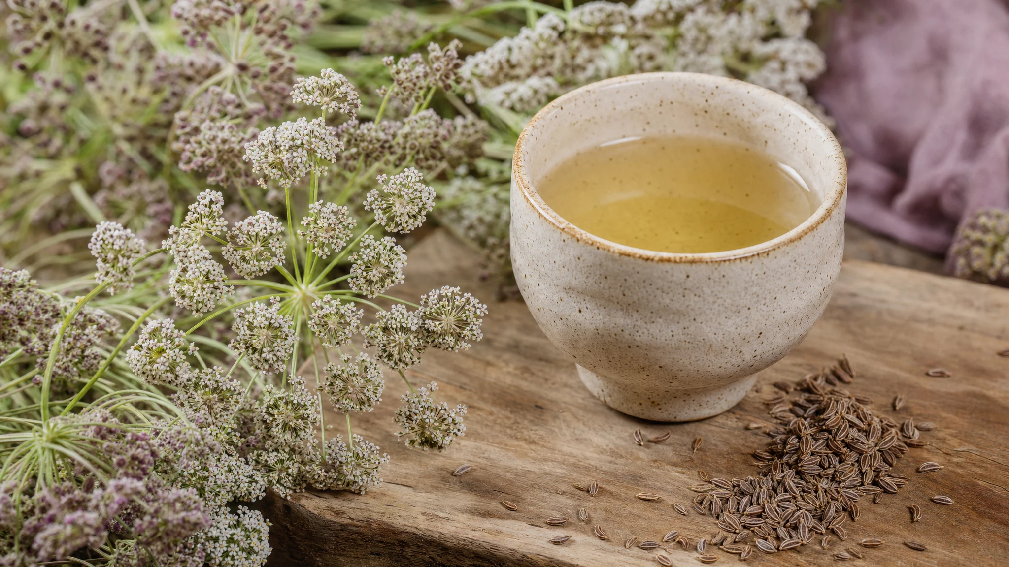 Anise and Digestion: An Evidence Review