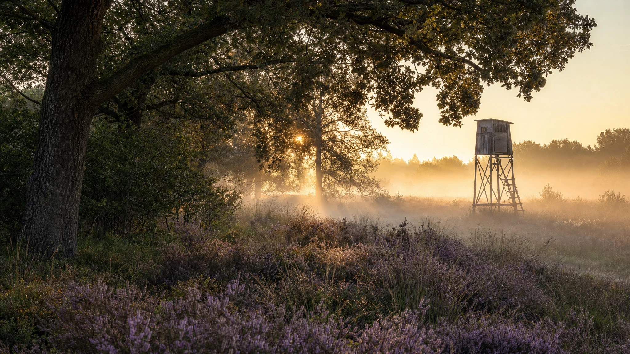 Anise as a Cover Scent for Hunting: What It Can and Cannot Do