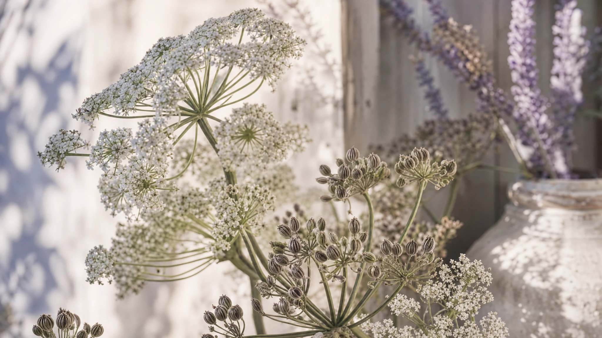 Is Anise Oil Safe Around Children? A Storage and Use Guide